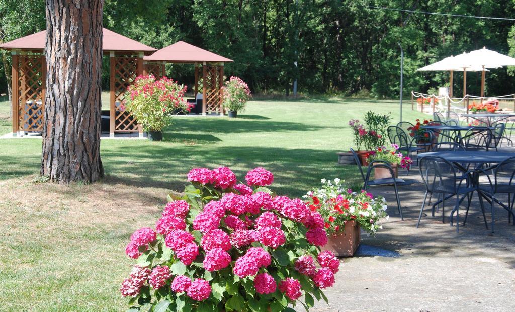 Agriturismo Antica Riserva Castiglione del Lago Dış mekan fotoğraf